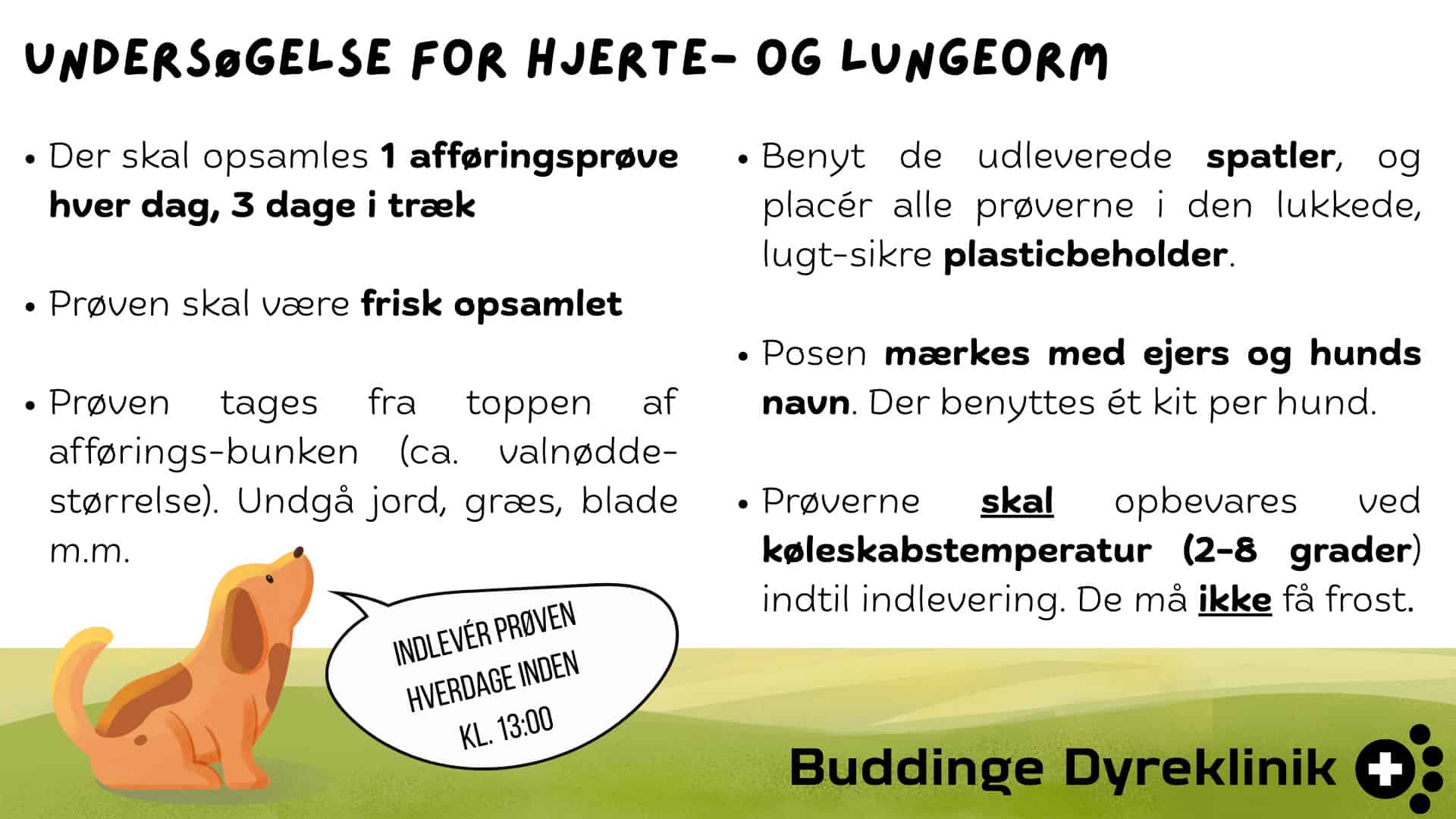 Baermann---ejerinstruks-til-indsamling,-Sept.-2025 Professionel dyrlæge i Bagsværd