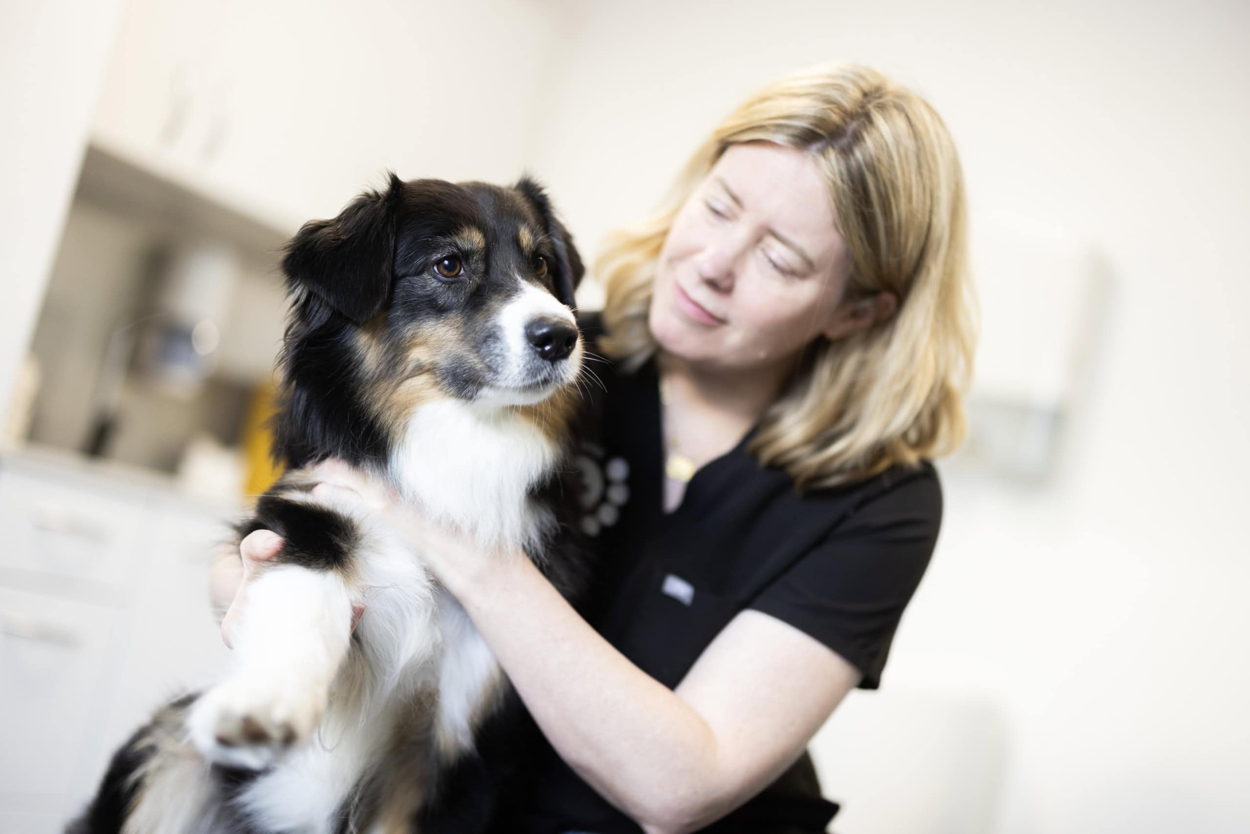 Professionel dyrlæge i Glostrup med en hund