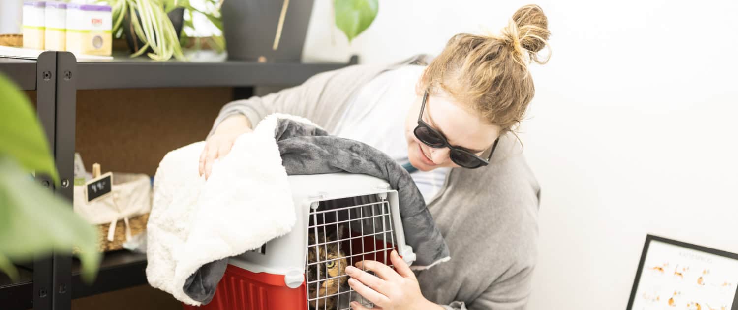 0U2A8242 Professionel dyrlæge i Bagsværd